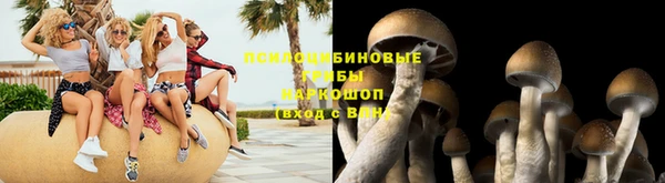 соль ск Гусиноозёрск