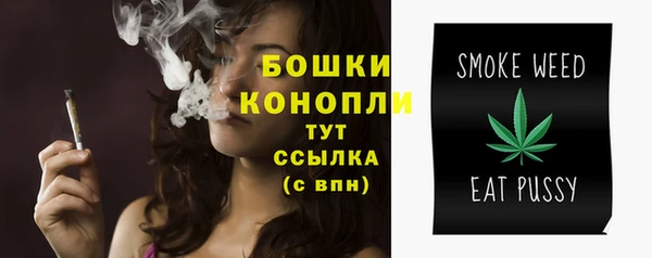 соль ск Гусиноозёрск