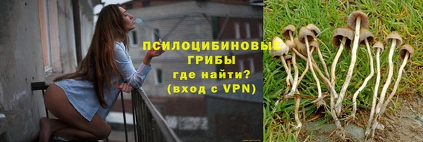 mdpv Гусь-Хрустальный