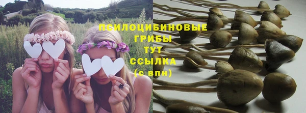 соль ск Гусиноозёрск