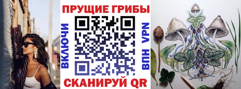Галлюциногенные грибы Psilocybe  Купить закладки  Сорочинск 